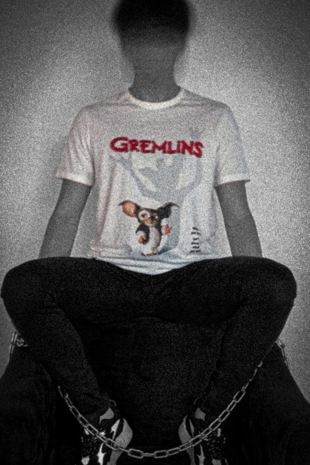Camiseta manga corta, con estampado de Gremlins