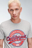 Camiseta gris medio con estampado college rojo y manga corta