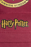 Maleta roja intensa con cremalleras y estampados de Harry Potter