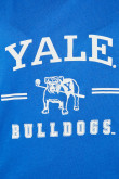 Camiseta azul oscura manga ranglan corta con estampado college de Yale