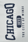 Camiseta manga corta verde clara con estampado college de Chicago