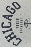Camiseta gris manga corta con contrastes y diseño college
