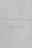 Buzo gris claro con capota, manga ranglan y texto estampado
