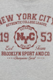 Camiseta crop top gris clara oversize con diseño college rojo de New York