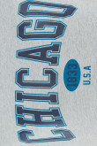 Camiseta gris con cuello redondo y diseño college de Chicago