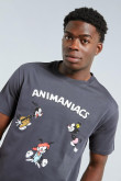 Camiseta manga corta gris con diseño de Animaniacs en frente