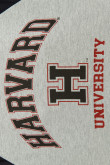 Camiseta manga ranglan corta gris clara con diseño college de Harvard