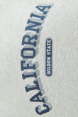 Camiseta gris con contrastes, manga corta y diseño college