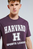 Camiseta morada con arte college de Harvard y cuello redondo
