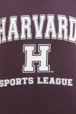 Camiseta morada con arte college de Harvard y cuello redondo