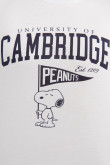 Camiseta manga corta blanca con diseño college de Snoopy y Cambridge