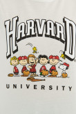 Camiseta crema clara con manga corta y diseño college de Snoopy & Harvard