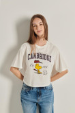 Camiseta crop top crema clara oversize con diseño college de Woodstock & Cambridge