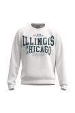 Buzo unicolor cuello redondo con diseño college de Illinois