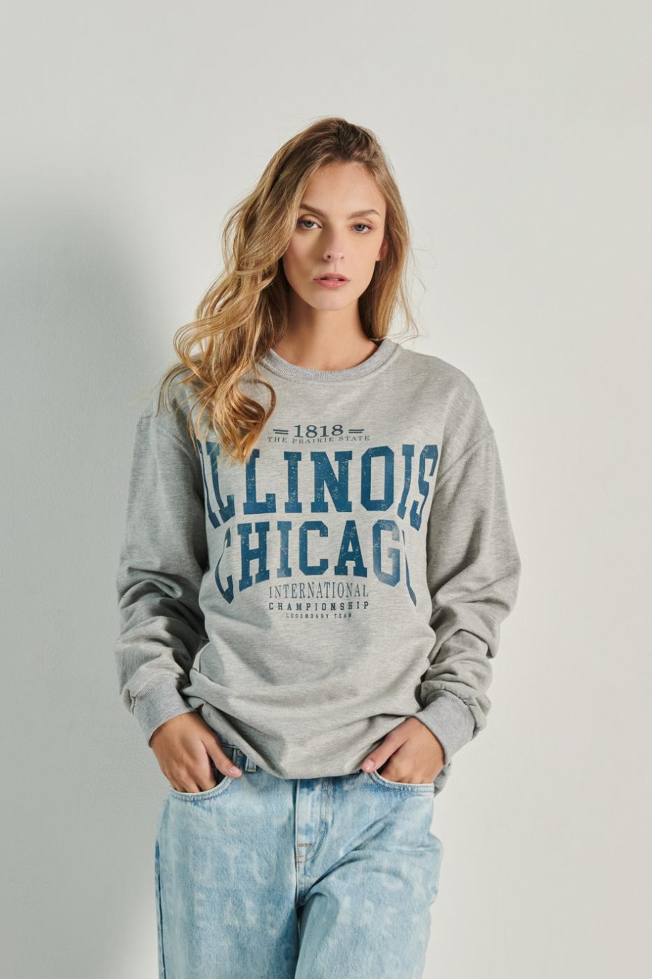Buzo unicolor cuello redondo con diseño college de Illinois
