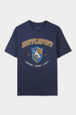 Camiseta azul manga corta con diseño de Harry Potter