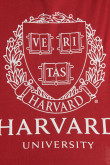 Camiseta roja oscura crop top con diseño college de Harvard
