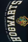 Camiseta azul con diseño de Hogwarts y cuello redondo