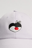 Cachucha beisbolera unicolor con bordado de Looney Tunes