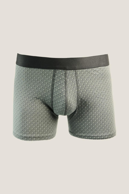 Bóxer gris oscuro estampado brief-medio en algodón