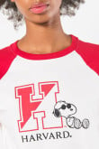 Camiseta crema college de Snoopy & Harvard con manga ranglan