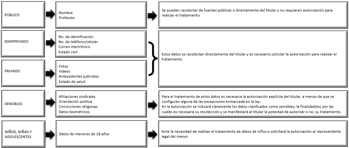 Clasificación de los Datos